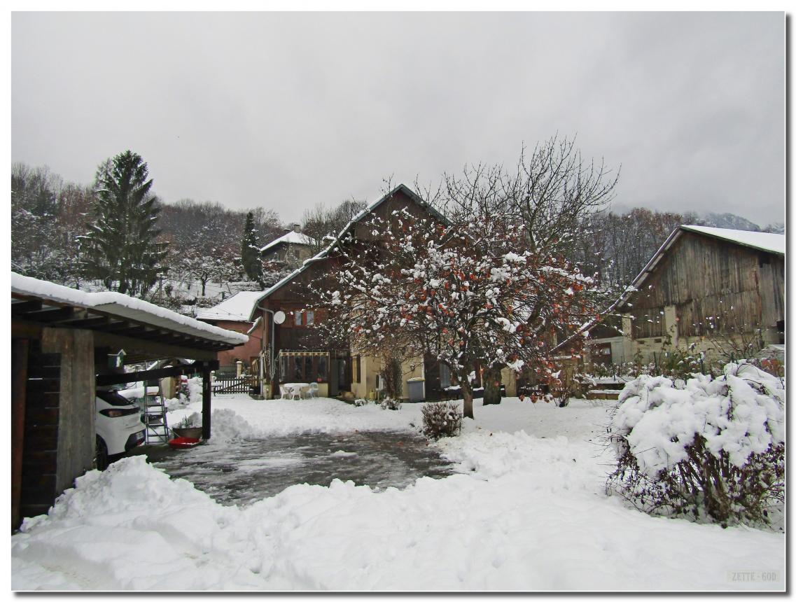 LE 13-01-2021 IL NEIGE 