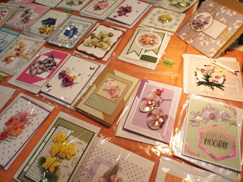Orchidées 