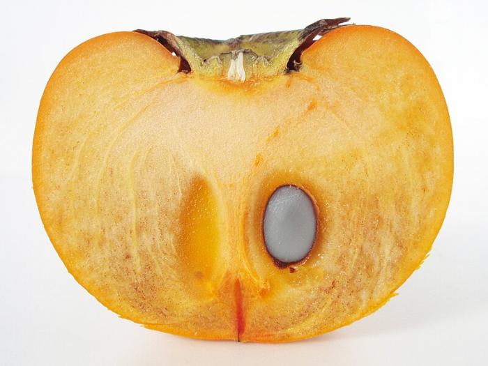 Fruits du mois de Novembre