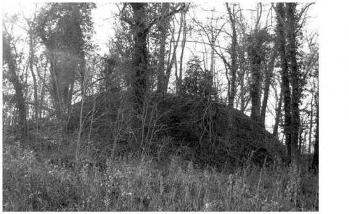LES REMPARTS DE COURTEILLES (Eure)