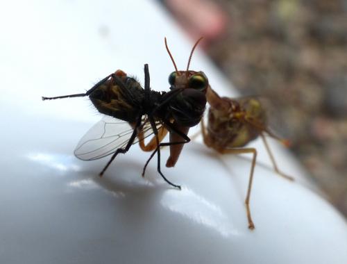 La loi de la nature: