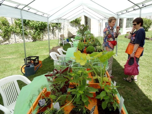 Exposition-Vente de plantes aromatiques  au Château de Montigny sur Aube...