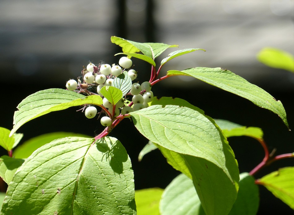 Mes rencontres du jour