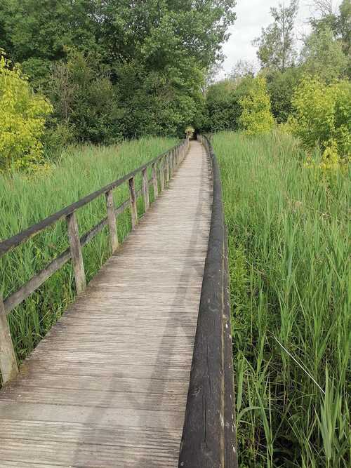 Photos en vrac de nos promenades !