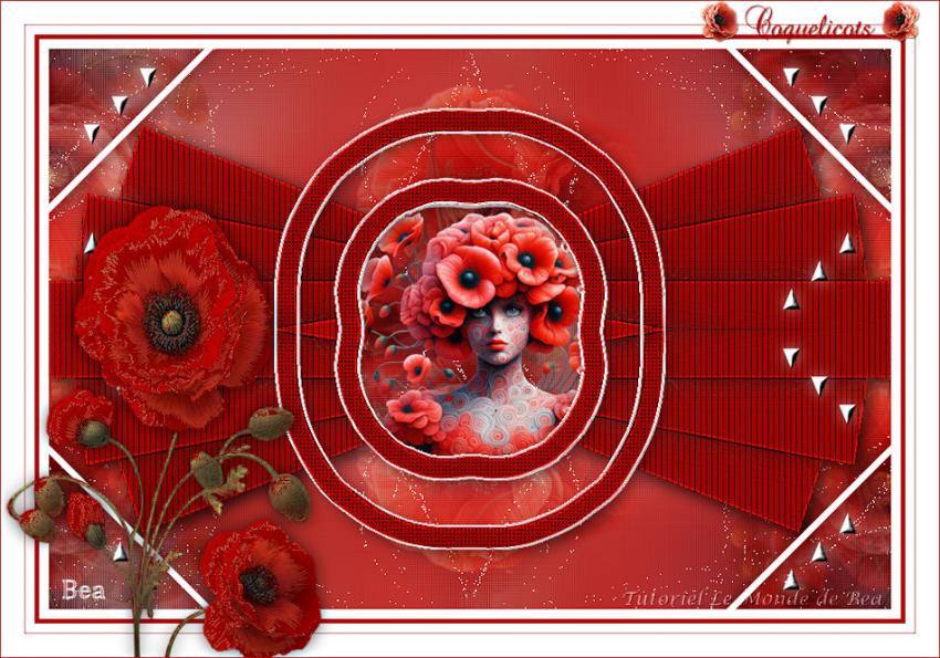 Coquelicots