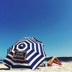 Un drôle de pensionnaire dans mon jardin