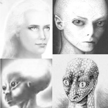 Rencontres avec des humanoïdes