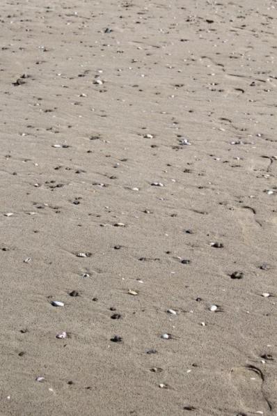 Plage de l'Aber à Crozon (13)