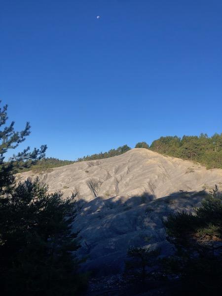 Bois Le Prêtre (Montclar)