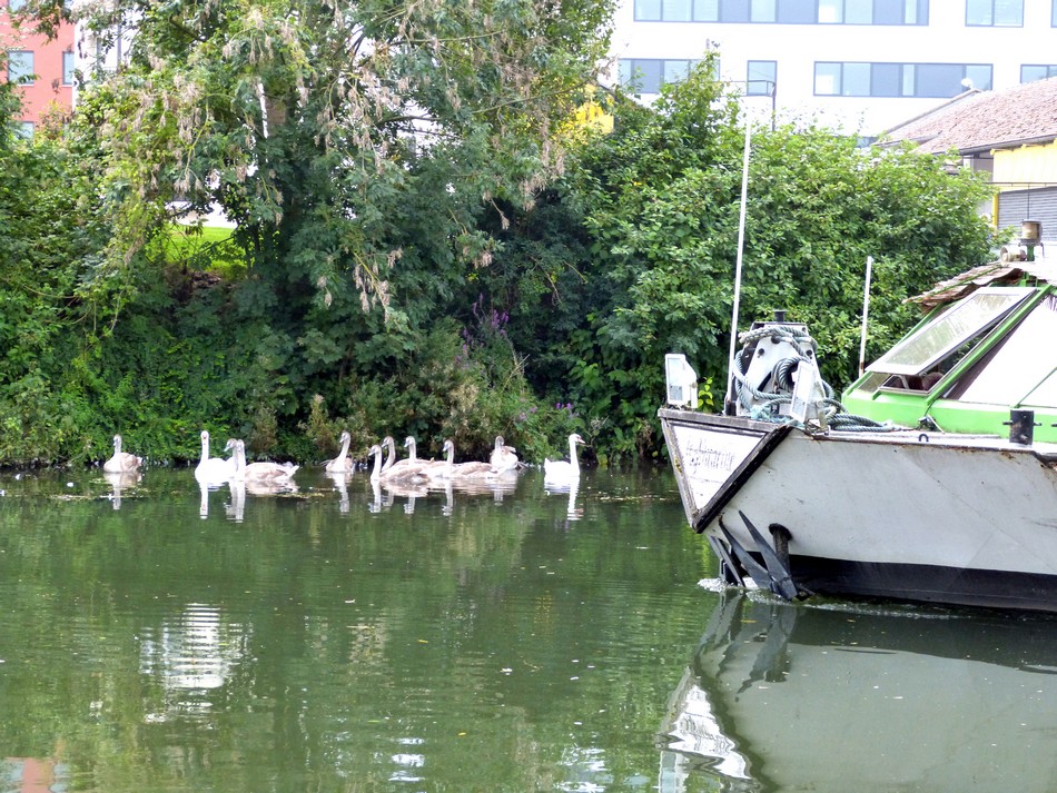 Clichés surprises à Amiens