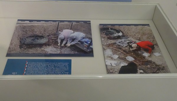 Prince de Lavau, Princesse de Vix...souvenirs d'une superbe exposition au Musée du Pays Châtillonnais-Trésor de Vix