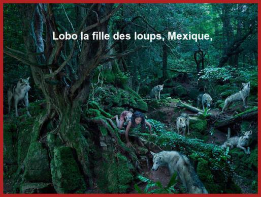 Les Enfants De La Jungle.
