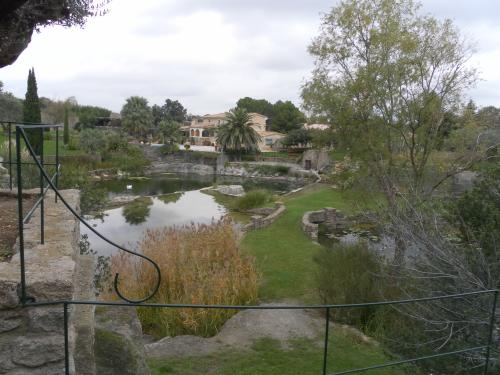 Jardin 