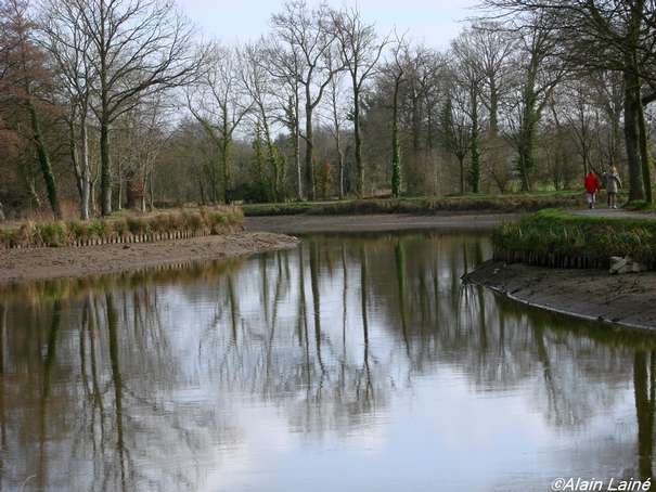 Canal_St_Gr_goire_22Janv08_003