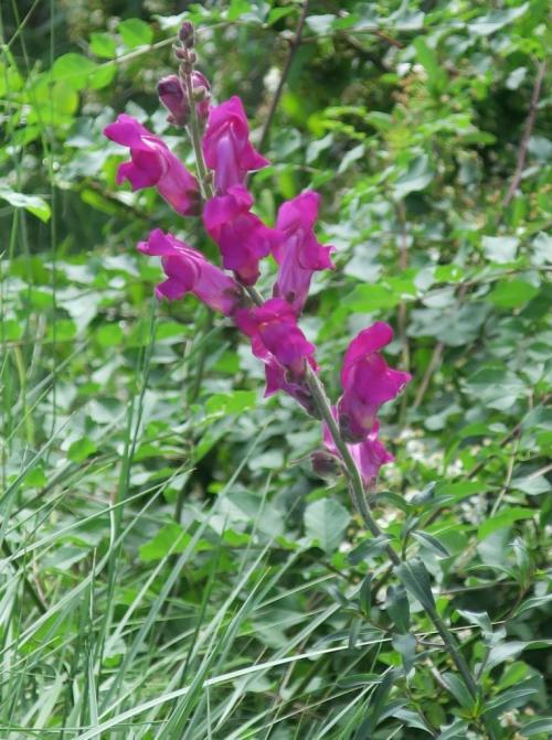 Randonnée "Au fil de l'eau" à NERS
