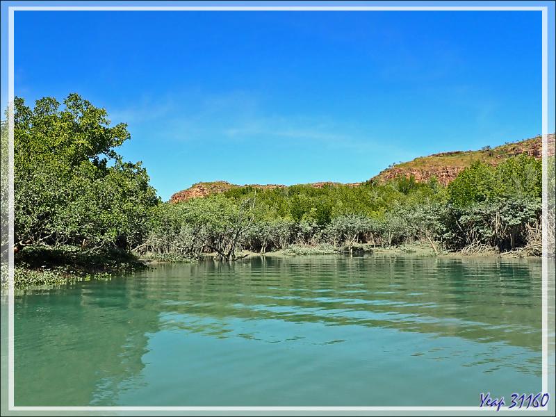 20/09/2022 : exploration de la mangrove de la Rivière Hunter - Prince Frederick Harbour - Kimberley - Australie