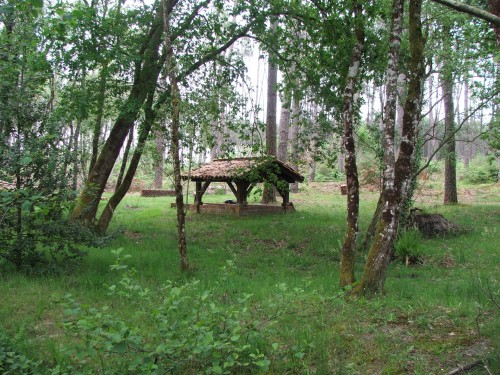DSCF3967.JPG