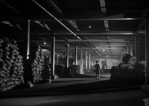 Panique dans la rue, Panic in the streets, Elia Kazan, 1950
