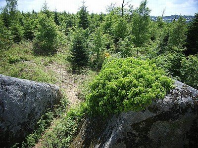 chap-d-artus-huelgoat36.jpg