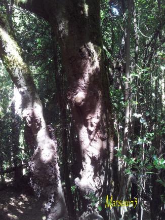 La Page de Marsouin3