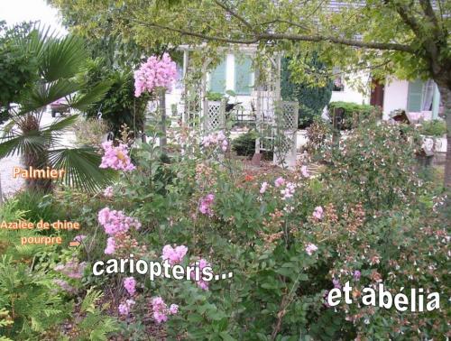 Le cékoiça la réponse est le carioptéris 