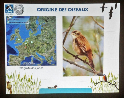 Une conférence de la LPO à Marcenay...