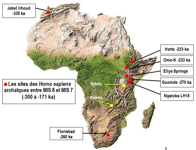 L'émergence des "Hommes Anatomiquement Modernes"