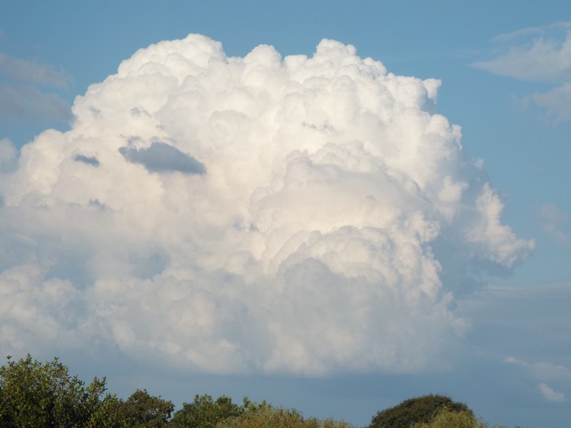 nuage