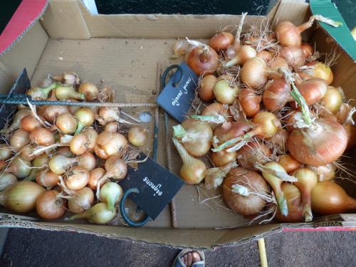 Récoltes de fin d'été...