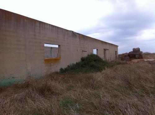 Petit mas ancien destructurée - Camargue