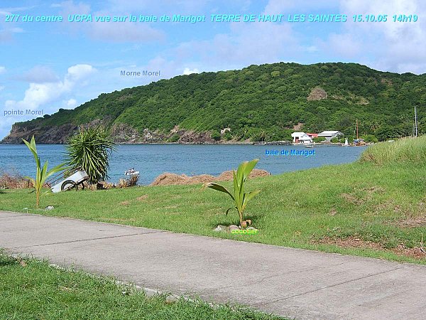 20205-10---TDH-971-LS-242.jpg