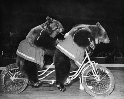 Bête ! Faux ! Moche ! Nul ! N'importe quoi...