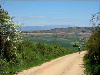 (J40) Granon / Azofra 14 mai 2012