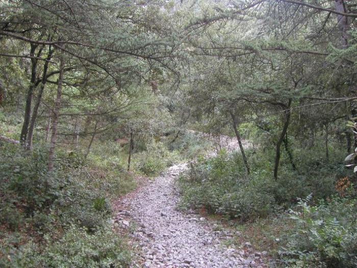 Département du Vaucluse