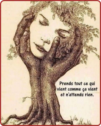 ღ꧁ღ╭⊱ꕥ La Magie des Mots.  ꕥ⊱╮ღ꧂ღ