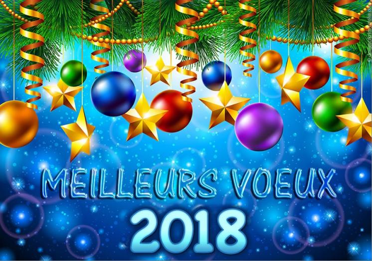 Résultat de recherche d'images pour "joyeuses fetes de fin d'année 2018"