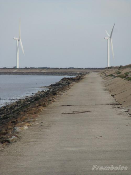 eoliennes de Bouin