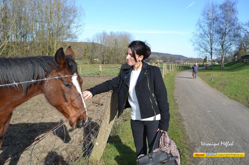 Parc naturel régional de la Vallée de Chevreuse : Le meilleur ami de l'homme 2