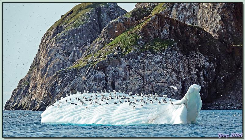 Sous-marin polaire et avec tout son équipage sur le pont - Coburg Island - Baffin Bay - Nunavut - Canada