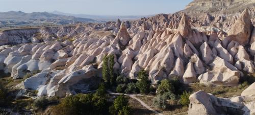 Retournons voir si la Rose...