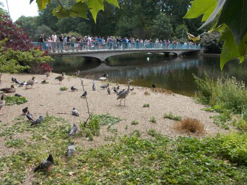  * St James's Park