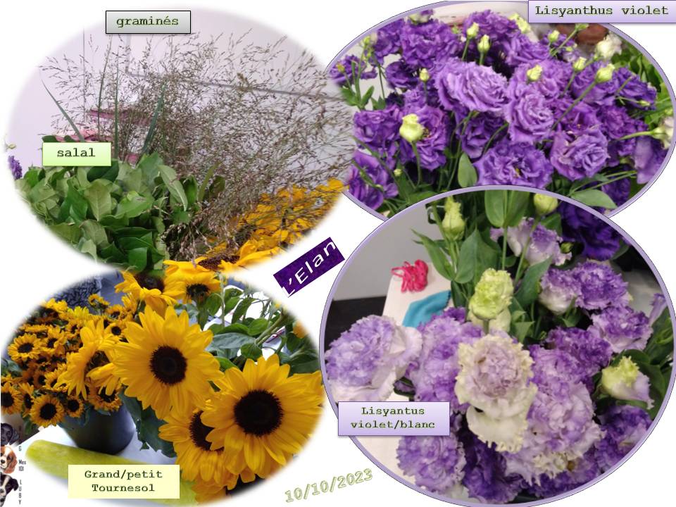 Prendre son "Elan" floral