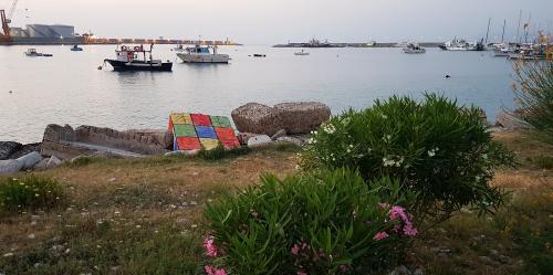De SCARIO à REGGIO