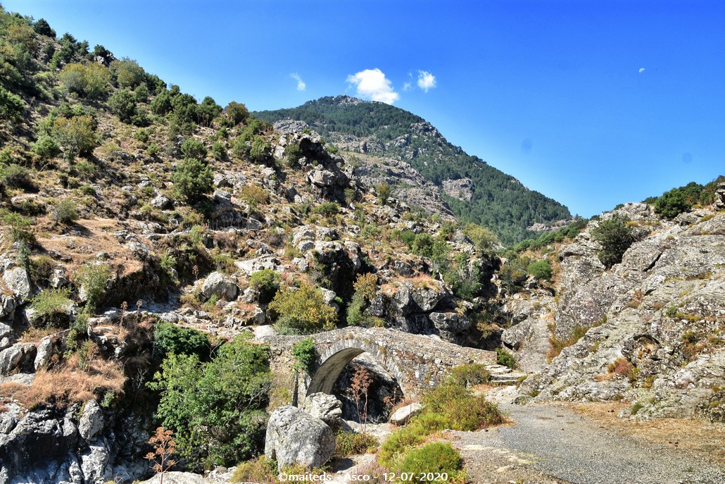 Pont génois d'Asco - Corse