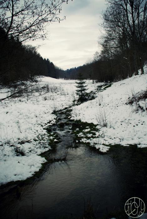 Voyage dans les Vosges 3/3