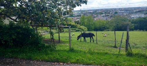 CR / MARCHE 10 /  FLOIRAC DRAVEMONT