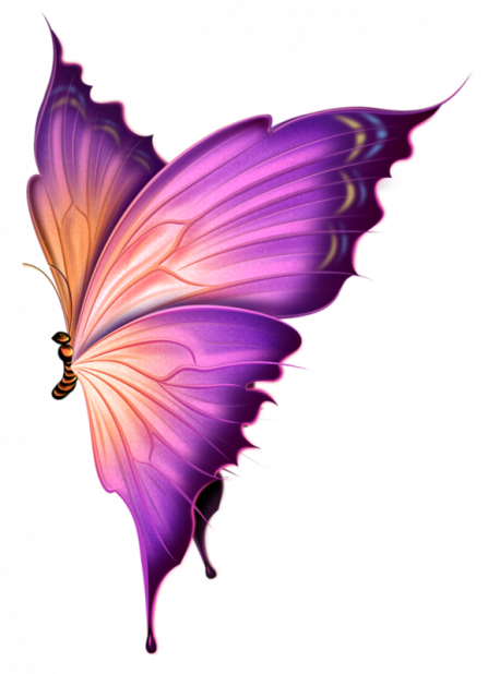 Barmali Bagchi    les papillons