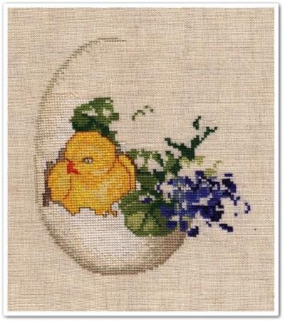 "Chicken" 5