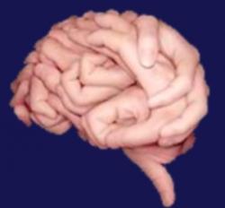 Quand le cerveau nous trompe