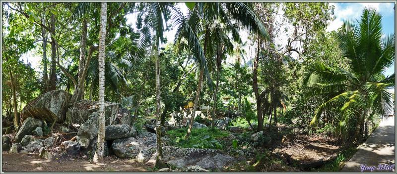 14/12/2021(suite) : seconde journée à Silhouette Island passée entre promenade dans le village et les jardins du grand complexe hôtelier voisin et baignades - Seychelles